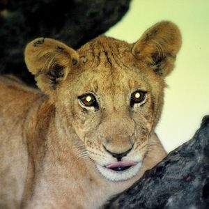 Meet your Posher, Micah